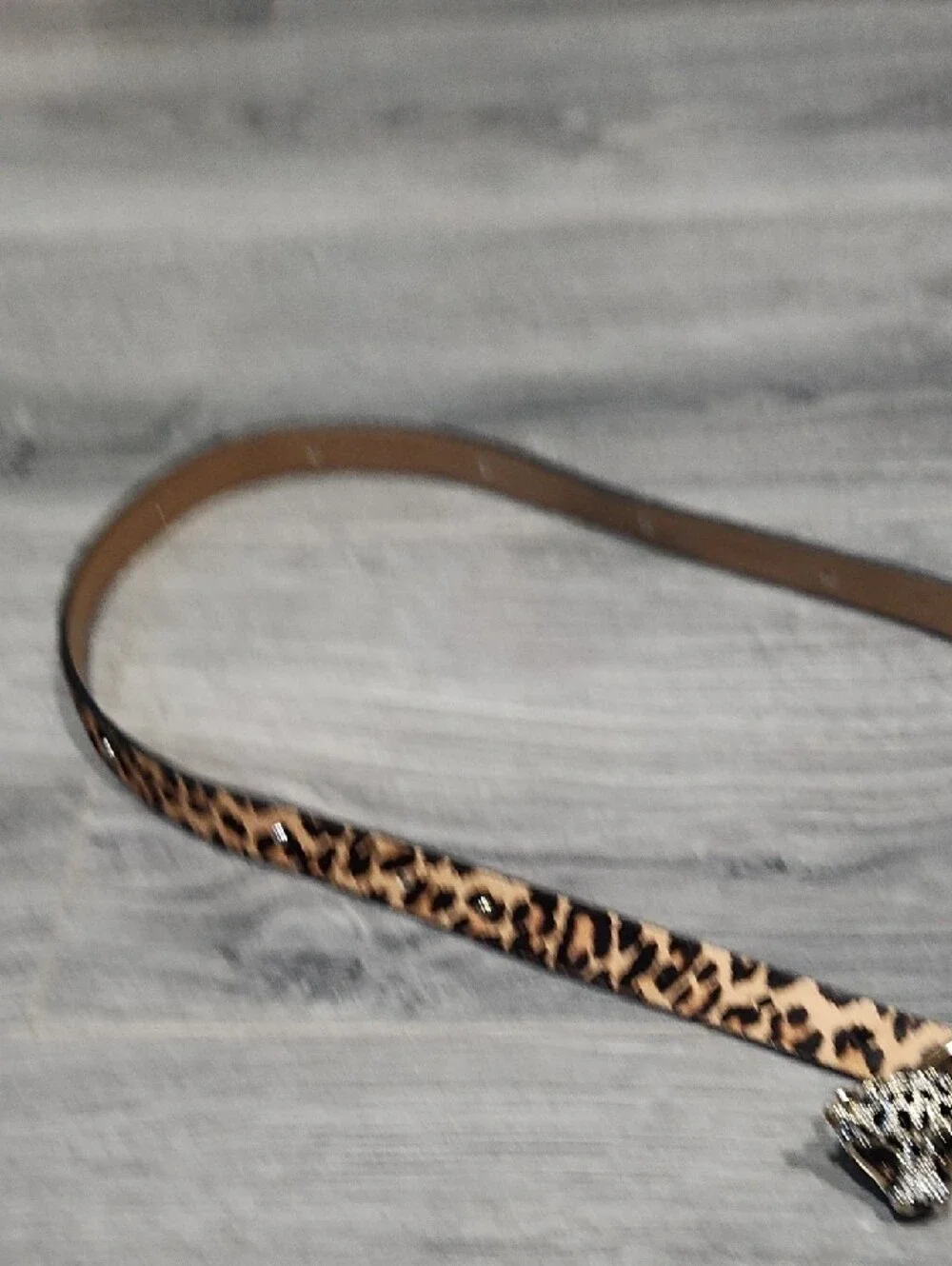 Leopard Print Calf Hair Kate Spade In The Loop Belt with Panther Head Buckle